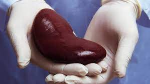 Coma & Poison Treatment in Bilaspur Chha