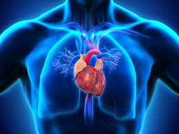 Heart Disease Screening centre in Bilaspur Chhattisgarh 